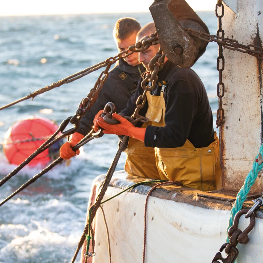 La Perle des Dieux' Fish Soup - Image 5